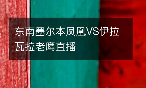 东南墨尔本凤凰VS伊拉瓦拉老鹰直播